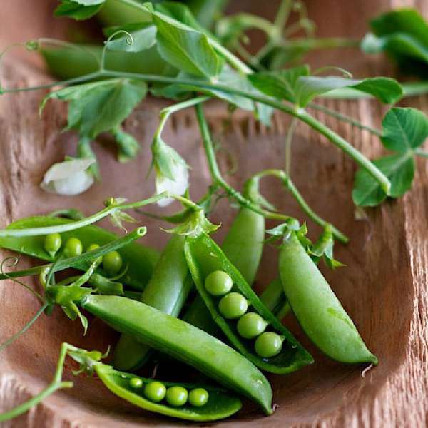 Sugar Pea, Snow Pea Vegetable Seeds